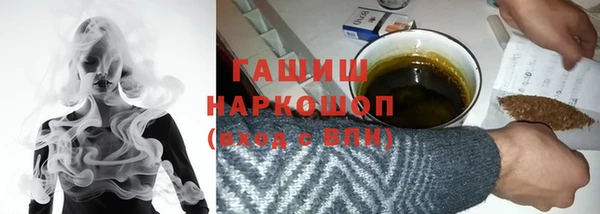 гашик Вяземский