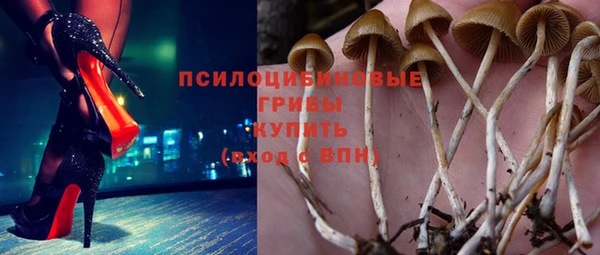 Альфа ПВП Горно-Алтайск