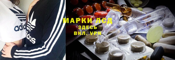 прущие грибы Волосово
