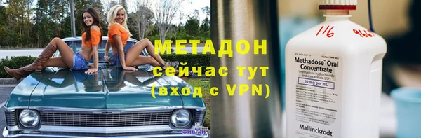 гашик Вяземский