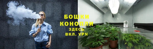 гашик Вяземский