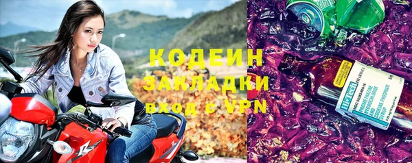 гашик Вяземский