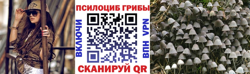 kraken онион  Десногорск  Галлюциногенные грибы Cubensis  дарнет шоп 
